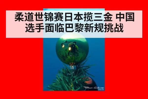 柔道世锦赛日本揽三金 中国选手面临巴黎新规挑战